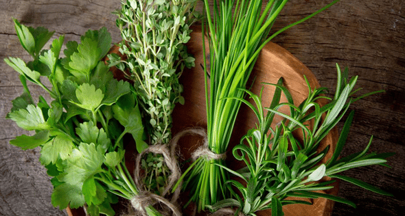 Fotografia de ervas para cozinhar